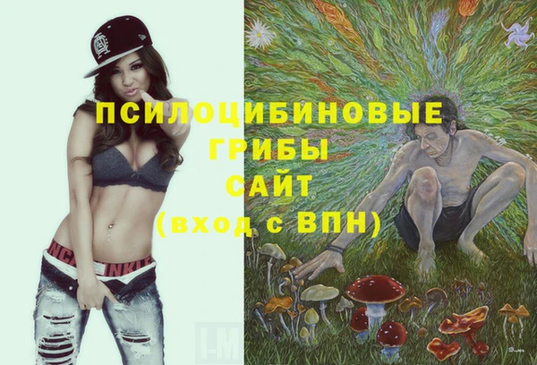 сатива Бугульма