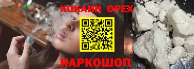сатива Моздок