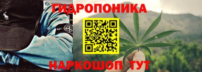 гашик Можайск
