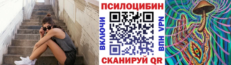 omg tor  где купить наркоту  Рузаевка  Псилоцибиновые грибы Psilocybe 