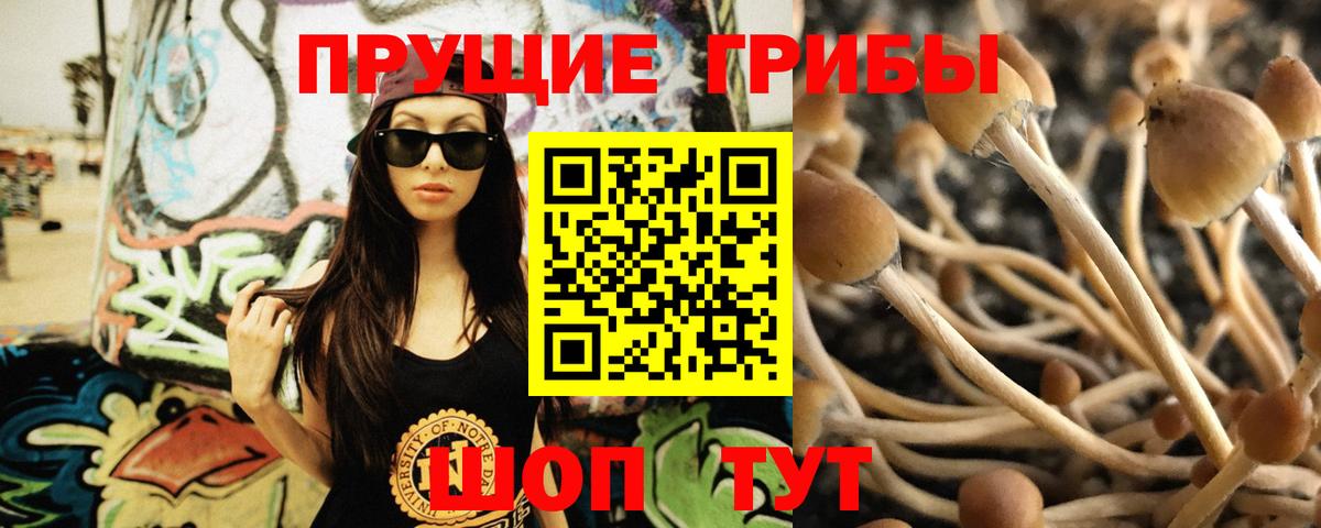 Псилоцибиновые грибы мухоморы  Вход с VPN  Рузаевка  Галлюциногенные грибы ЛСД 